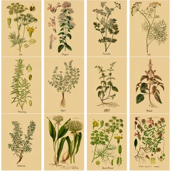 Кулинарни билки плакат отпечатъци цвете билкови ботанически илюстрации Крафт хартия реколта стая Начало кухня изкуство стена декор живопис